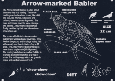 Arrow Marked Babler